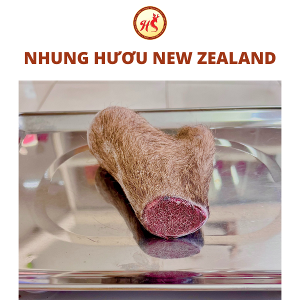 Nhung Hươu New Zealand 100gr