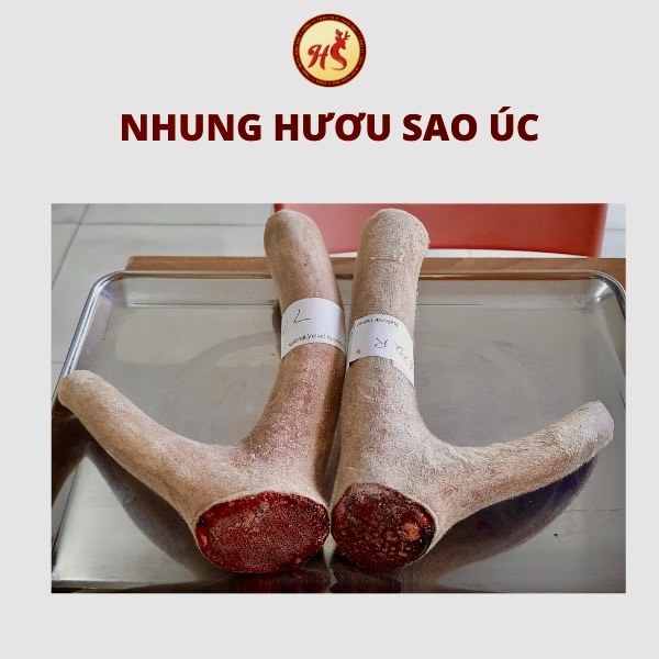 NHUNG HƯƠU SAO ÚC 100g