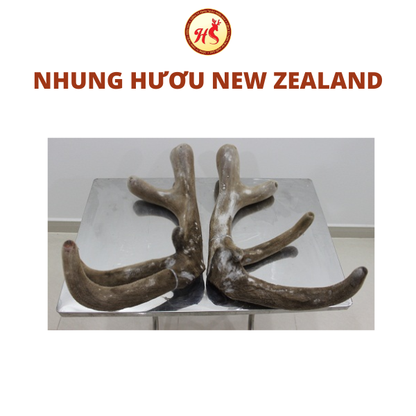 Nhung hươu New Zealand loại lớn